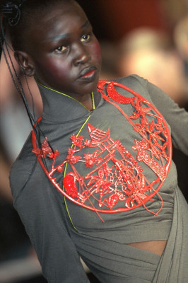 photo 13 in Alek Wek gallery [id1332224] 2023-08-23 00:00:00