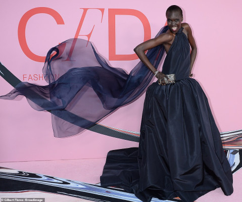 Alek Wek pic #1142470