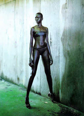 Alek Wek pic #13828