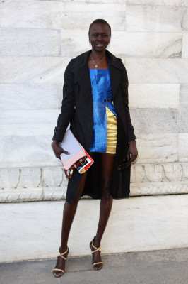 Alek Wek pic #566160