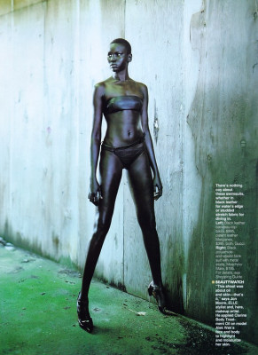 Alek Wek pic #215596