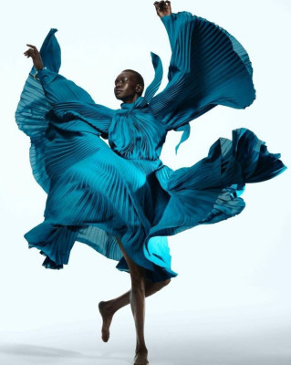 Alek Wek pic #1317037