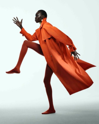 Alek Wek pic #1317038