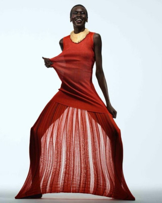 Alek Wek pic #1317044