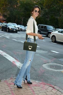 Alessandra Ambrosio pic #798445