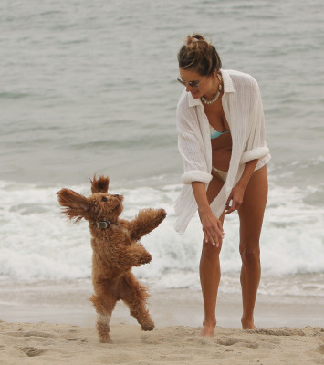 Alessandra Ambrosio pic #1233295
