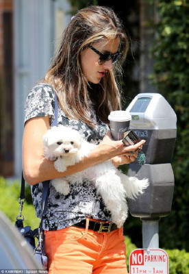 Alessandra Ambrosio pic #630031