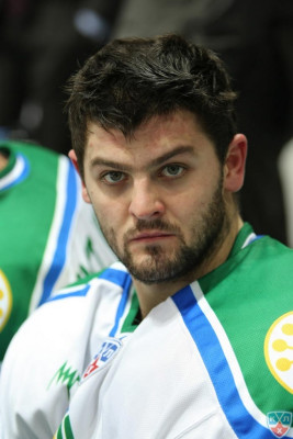 Alexander Radulov pic #394113
