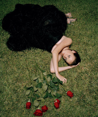photo 29 in Alexis Bledel gallery [id107785] 2008-08-19 00:00:00