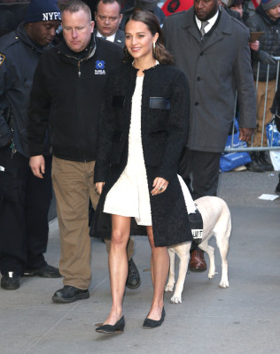 Alicia Vikander pic #1021059