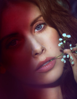 Alison Brie pic #991696