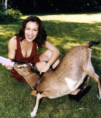 Alyssa Milano pic #59786