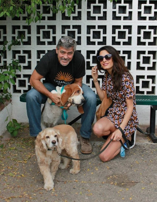 Amal Clooney pic #826029