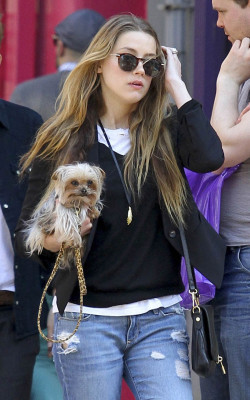 Amber Heard pic #692091