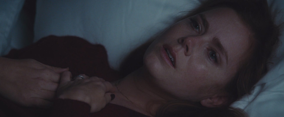 Amy Adams pic #917151