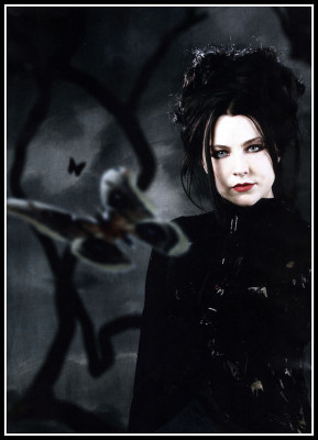 Amy Lee pic #69661