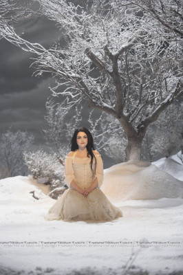 Amy Lee pic #468683