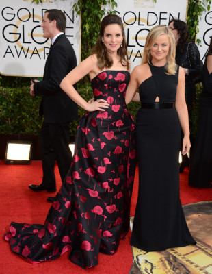 Amy Poehler pic #662230