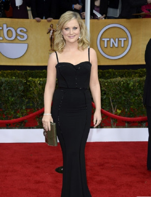 Amy Poehler pic #586813