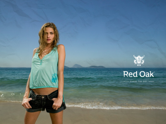 Ana Beatriz Barros pic #92403