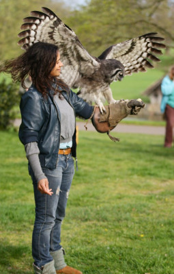 Angel Coulby pic #599268