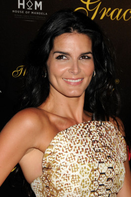 Angie Harmon pic #492442