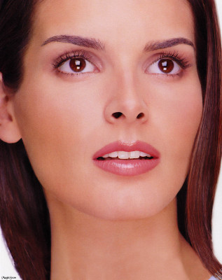 Angie Harmon pic #13030