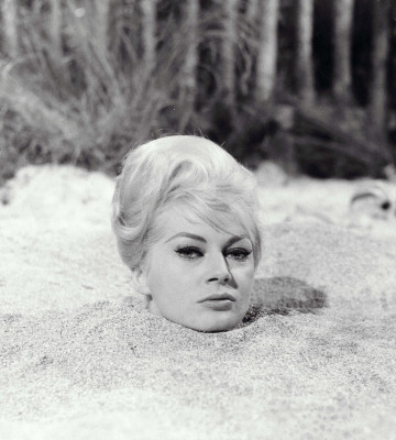 photo 21 in Anita Ekberg gallery [id236629] 2010-02-17 00:00:00
