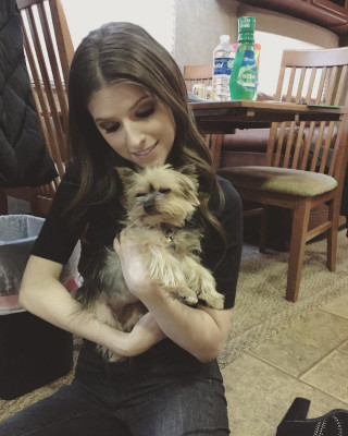 Anna Kendrick pic #915133