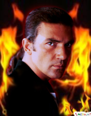 photo 7 in Antonio Banderas gallery [id453670] 2012-03-01 00:00:00