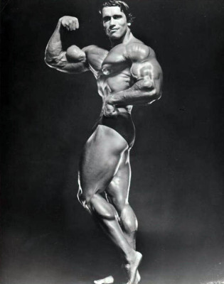 Arnold Schwarzenegger pic #275820
