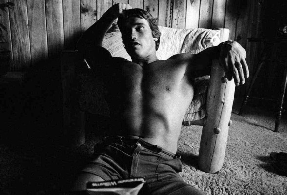 Arnold Schwarzenegger pic #279533