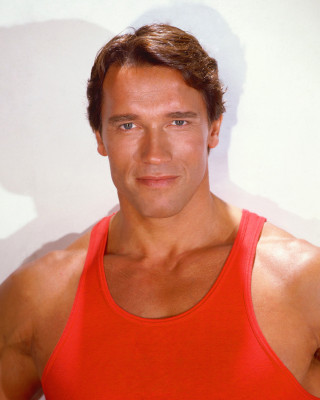 photo 17 in Schwarzenegger gallery [id561455] 2012-12-17 00:00:00