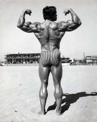 Arnold Schwarzenegger pic #275817