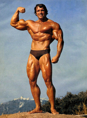 photo 26 in Schwarzenegger gallery [id282469] 2010-08-30 00:00:00