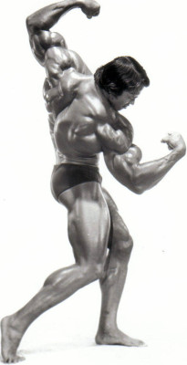 Arnold Schwarzenegger pic #275818