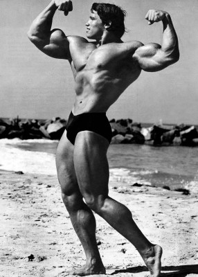 Arnold Schwarzenegger pic #278049