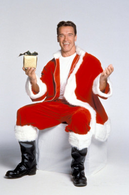 Arnold Schwarzenegger pic #270567