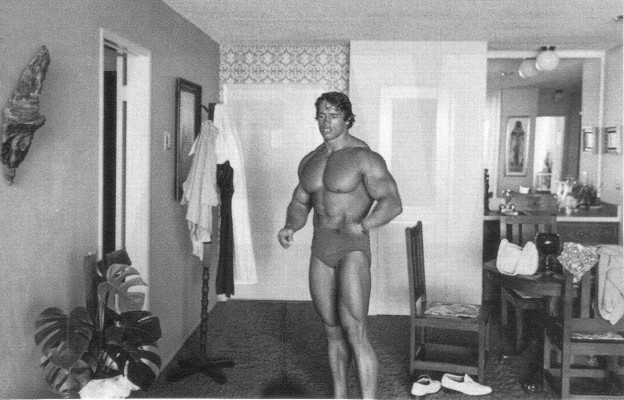 Arnold Schwarzenegger pic #240122