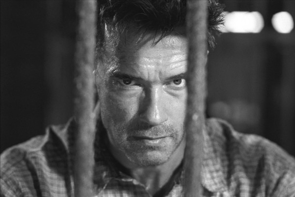 Arnold Schwarzenegger pic #179772