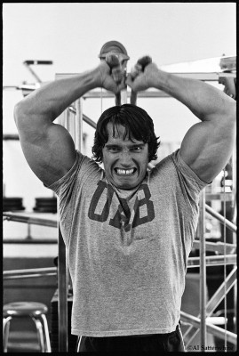 Arnold Schwarzenegger pic #78932