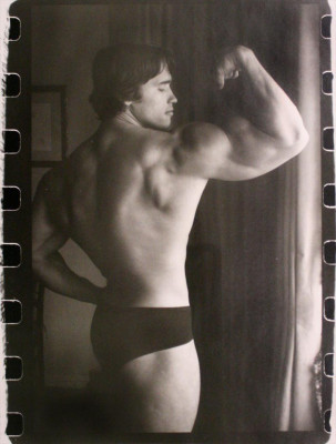 Arnold Schwarzenegger pic #176809