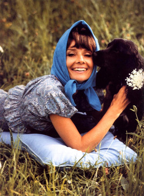 Audrey Hepburn pic #186658