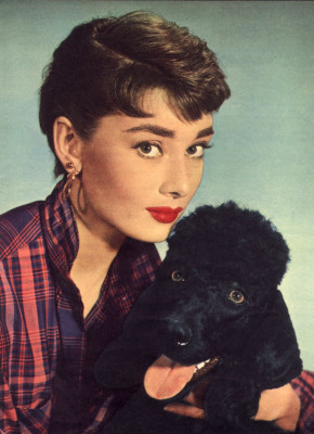 Audrey Hepburn pic #143839