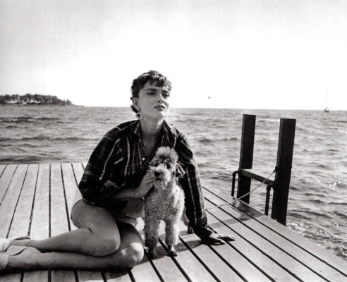 Audrey Hepburn pic #481203