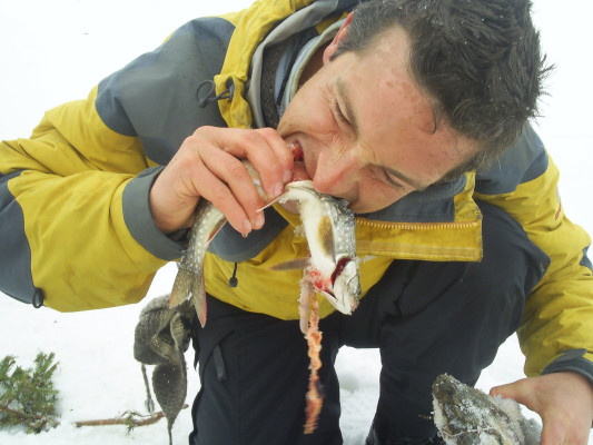 photo 4 in Grylls gallery [id355294] 2011-03-11 00:00:00