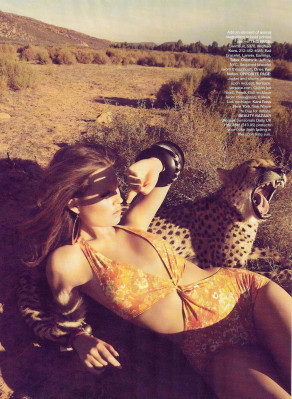 photo 23 in Prinsloo gallery [id223392] 2010-01-08 00:00:00