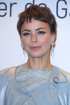 Berenice Bejo  pic #1347199