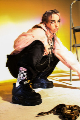 Billie Eilish pic #1062451
