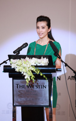 Bingbing Li pic #591548